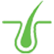 icon1
